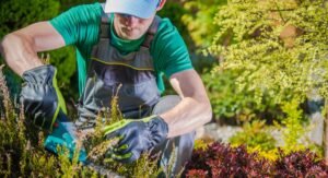 Paisagismo e Jardinagem: Transformando Espaços e Promovendo o Bem-Estar